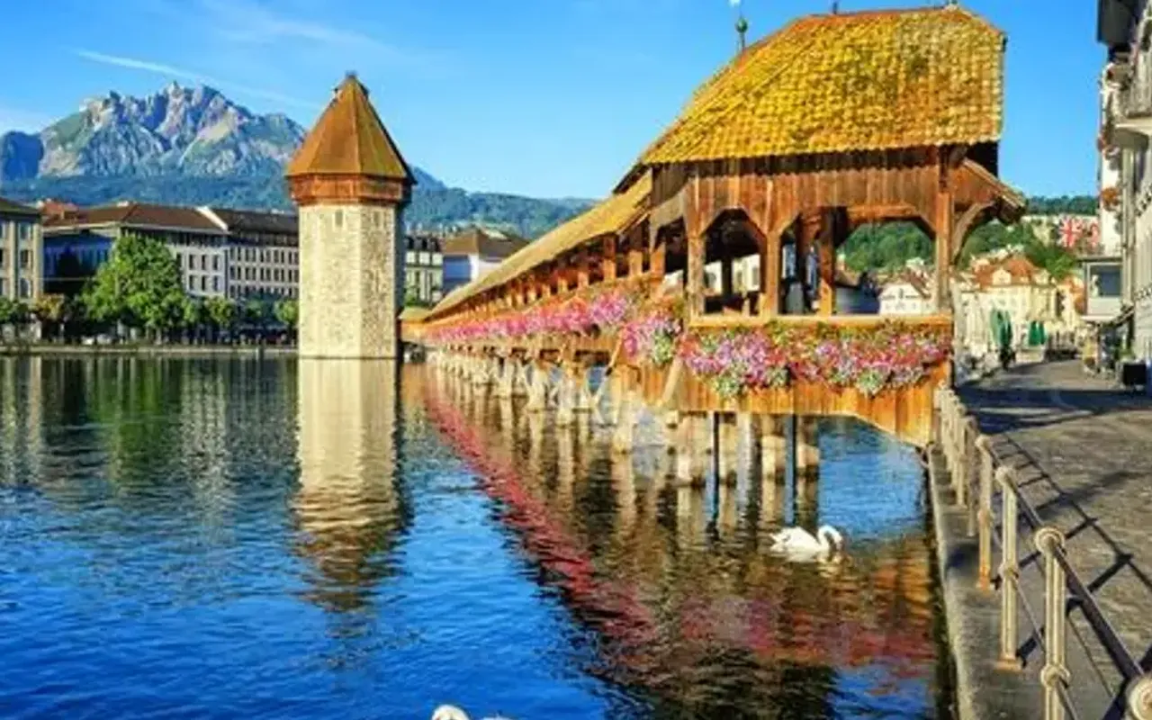 main photo